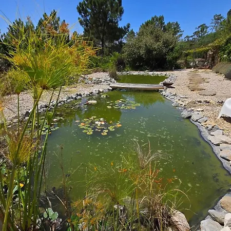 New- Design Villa- 10 Min From Beach, Pool And Great View Willa Ericeira