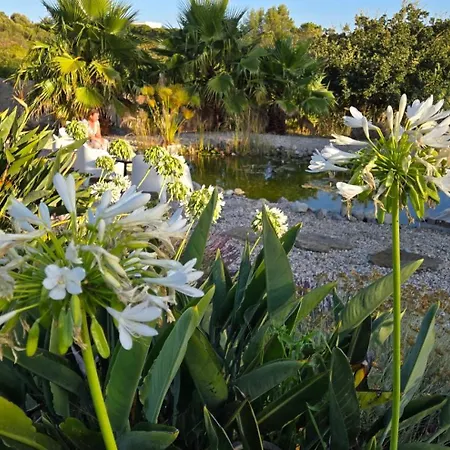 New- Design Villa- 10 Min From Beach, Pool And Great View Willa *